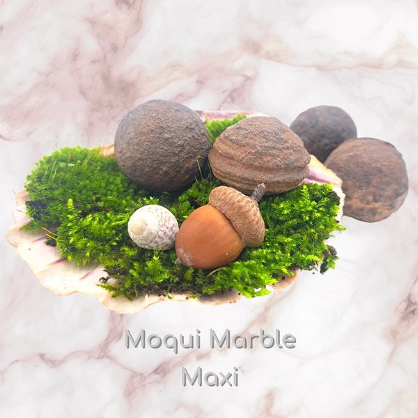 Moqui Marble Maxi Paar mit Zertifikat